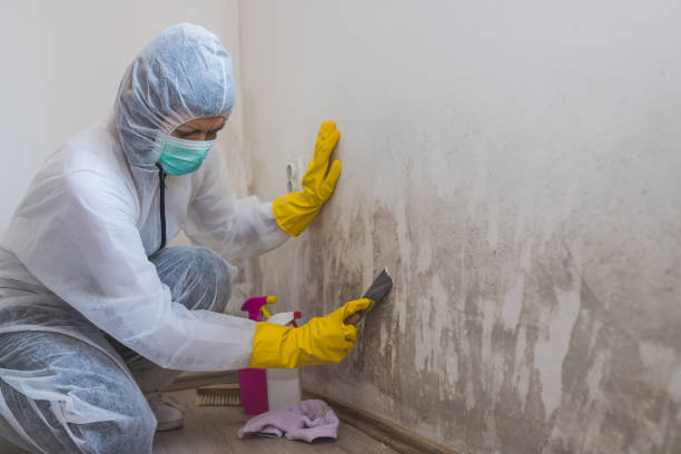 Best Mold Testing and Inspection Services in Yacolt, WA