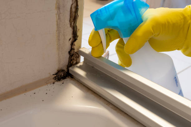 Best Industrial Mold Remediation in Yacolt, WA