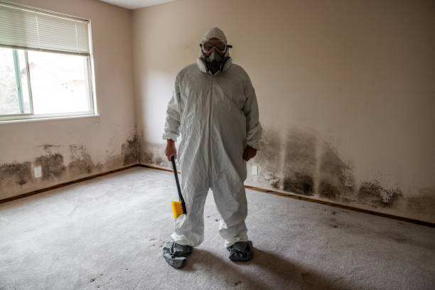 Best Residential Mold Remediation in Yacolt, WA