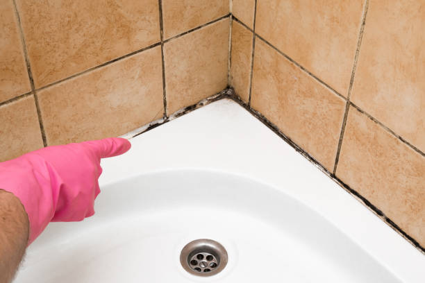 Trusted Yacolt, WA Mold Remediation Experts